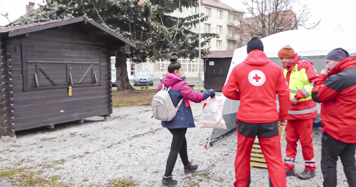 Idén is lesz ajándékot termő fa